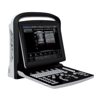 Veterinary Ultrasound