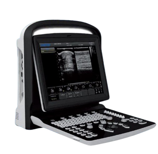 Veterinary Ultrasound